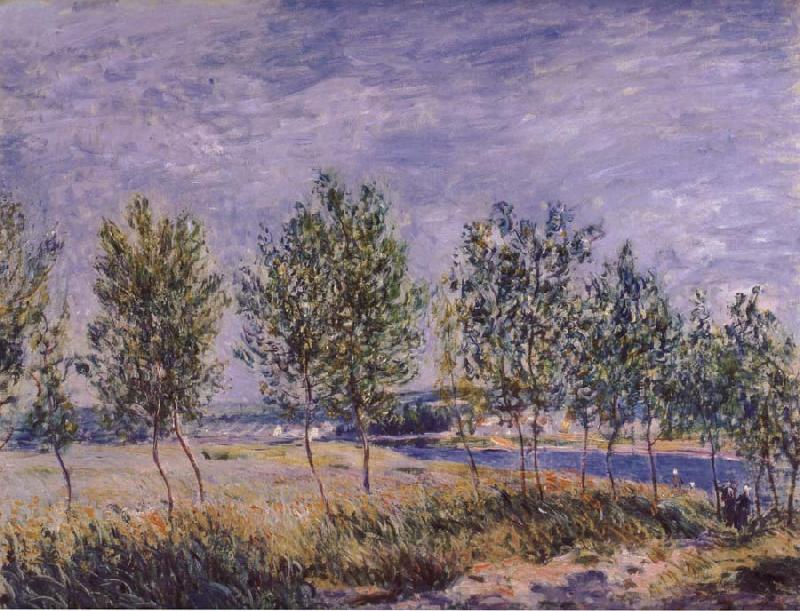 Claude Monet Poplars on a River Bank China oil painting art